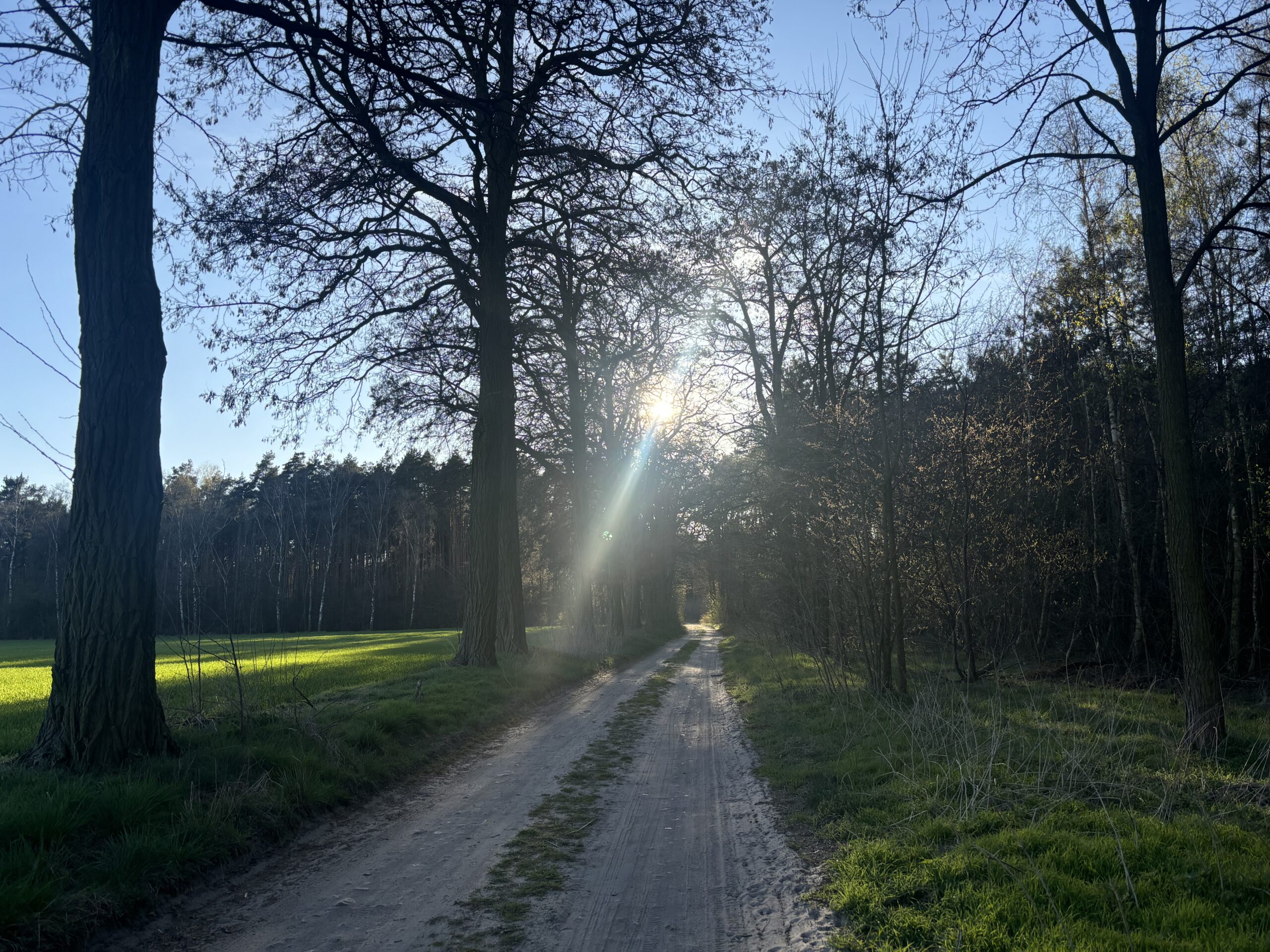 Mechlin – wieś z historią, klimatem i duszą