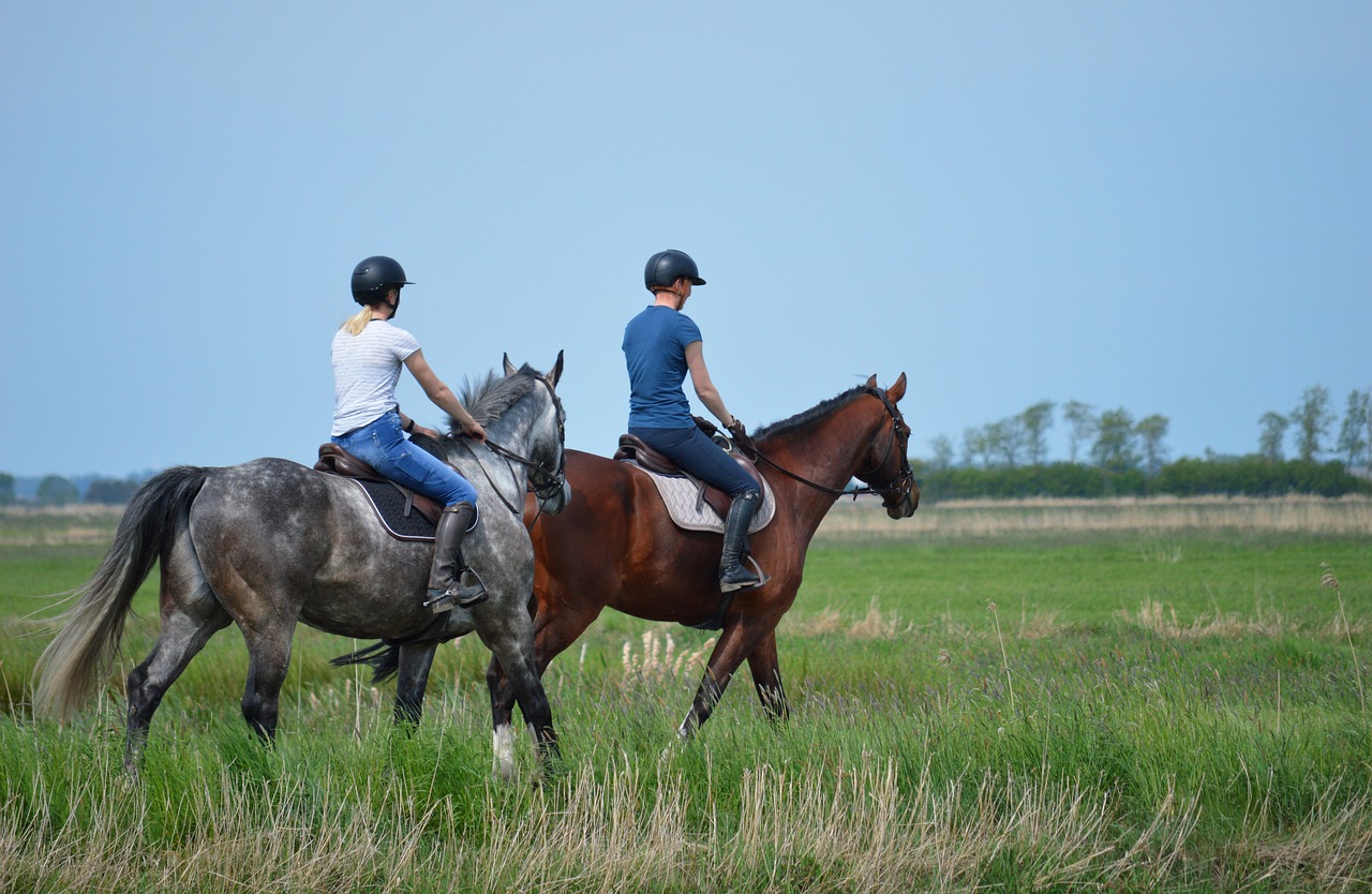 Nauka jazdy konnej Śrem – odkryj pasję z Dworem Andrzejówka