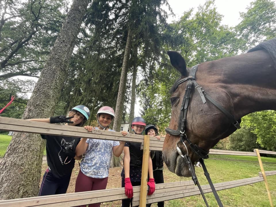 Nauka jazdy konnej Poznań – emocje, rozwój i relacja z koniem