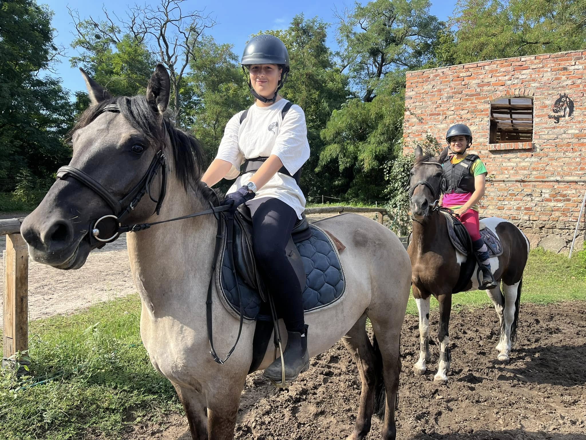 Szkółka jeździecka Poznań – spokojna nauka jazdy w Dworze Andrzejówka