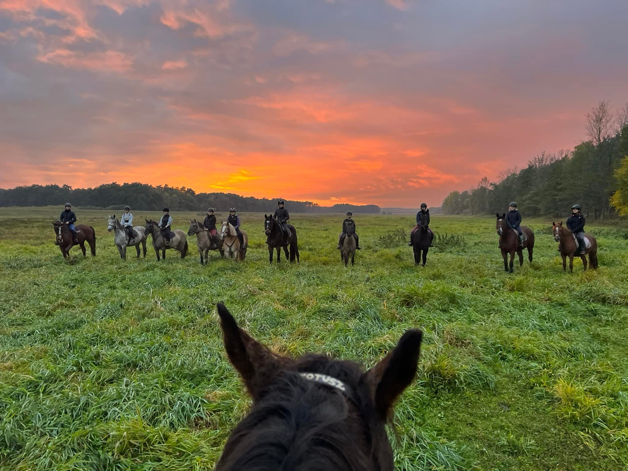 Obóz konny dla młodzieży – pasja, rozwój i niezapomniane wakacje