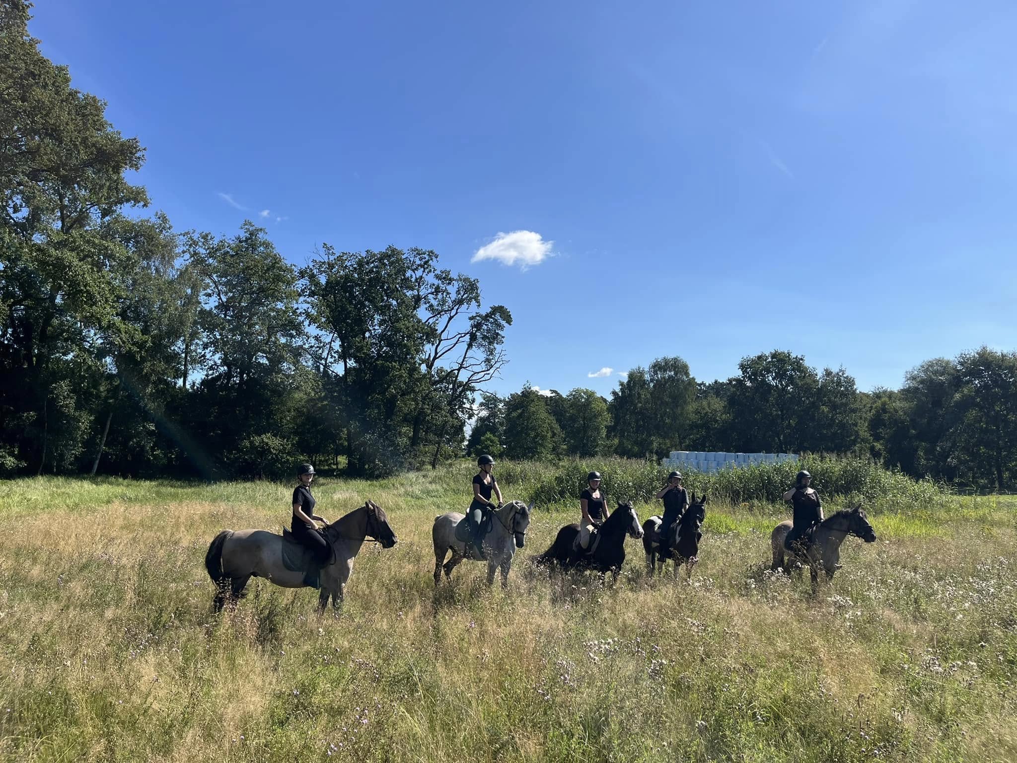 Obozy jeździeckie Wielkopolska – bezpieczne i inspirujące wakacje z końmi